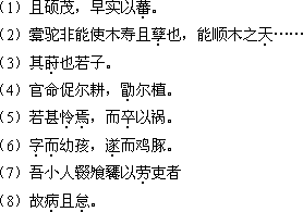 2018年成人高考專升本《大學(xué)語文》考試大綱