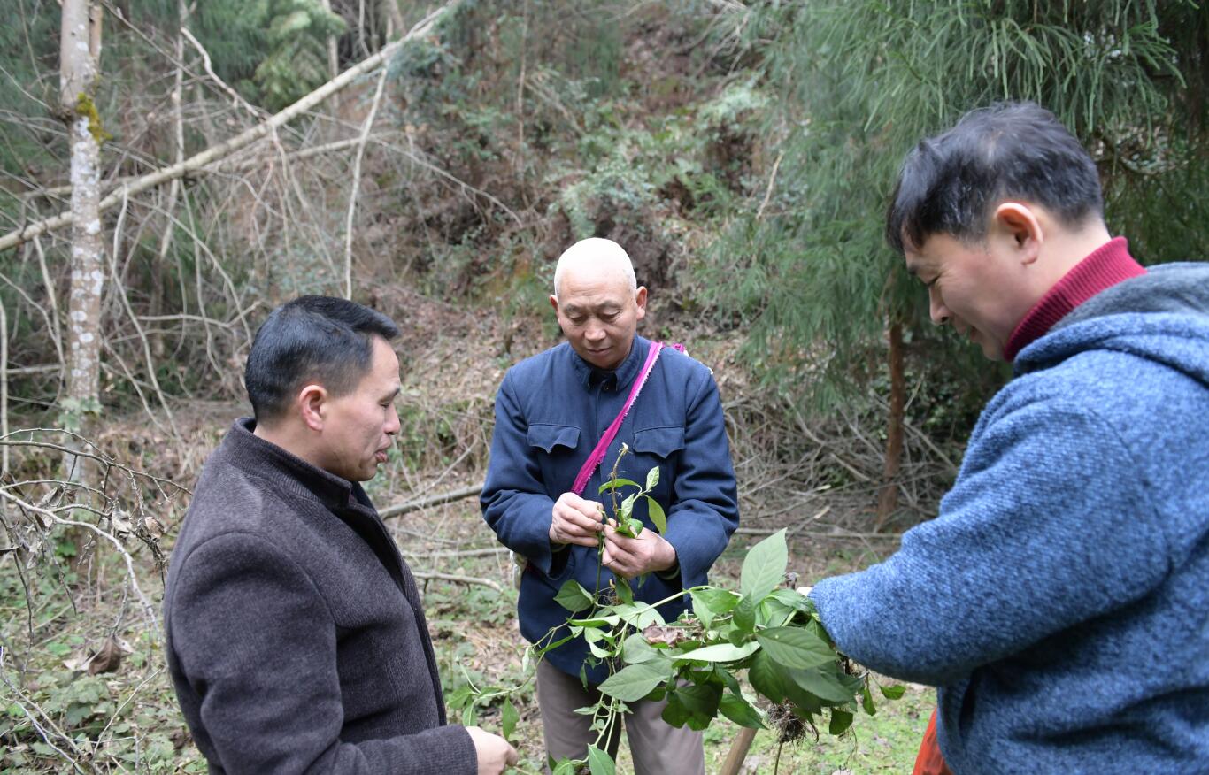 湖南醫(yī)藥學(xué)院